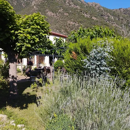 St Martin Du Canigou Et Table D'hotes De Charme Bed & Breakfast Casteil