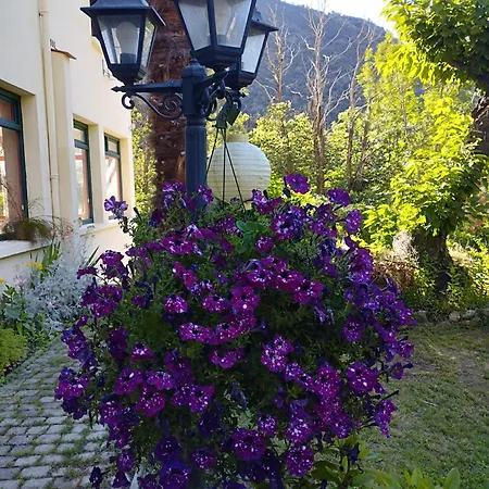 St Martin Du Canigou Et Table D'hotes De Charme Casteil