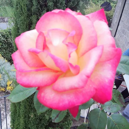 St Martin Du Canigou Et Table D'hotes De Charme Bed & Breakfast 3*