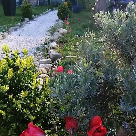 Bed & Breakfast St Martin Du Canigou Et Table D'hotes De Charme